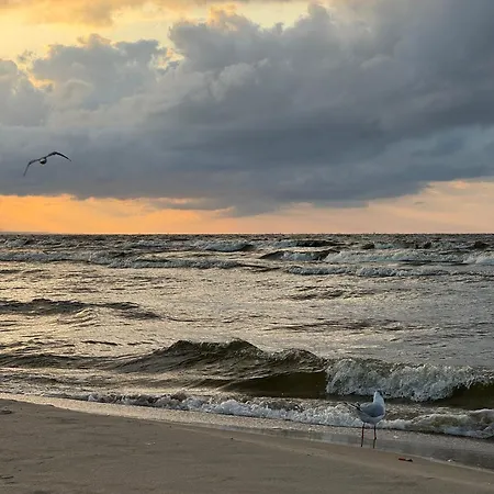 Amber Coast - W Jantarze Holiday home