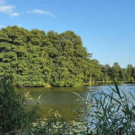 Amber Coast - W Jantarze *