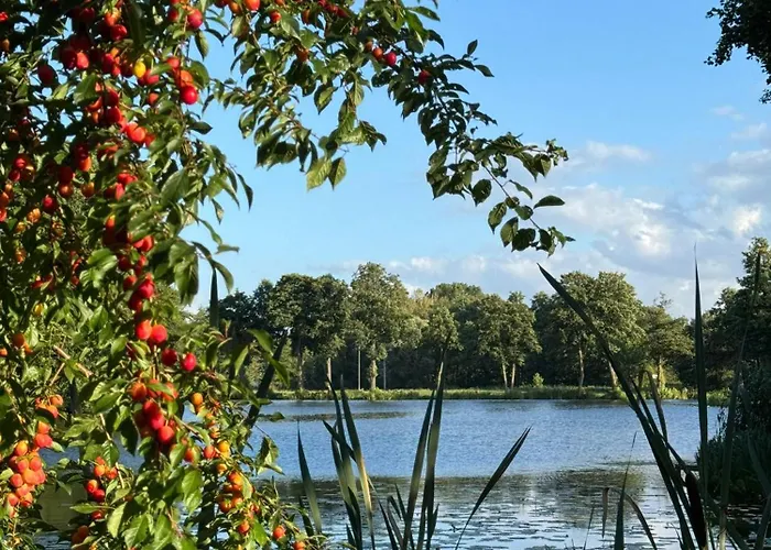 Amber Coast - W Jantarze