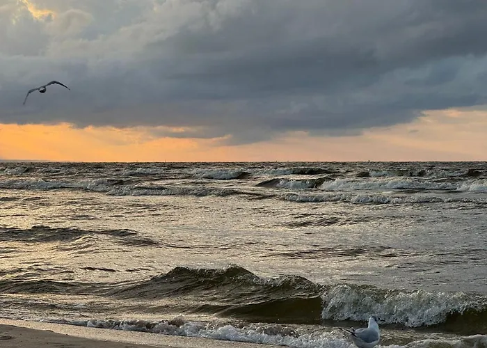 Amber Coast - W Jantarze Ferienhaus