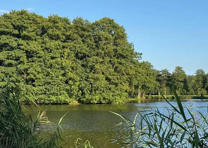 Amber Coast - W Jantarze *